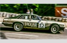 12 - Jaguar XJS HE - T.W.R. Jaguar Racing w. Motul