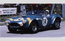 14 - Shelby Cobra roadster #CSX2260 - Ford France