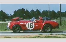 16 - Shelby Cobra roadster #CSX2137 - Ralph Noseda