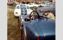 16 - Shelby Cobra 289 - Gene Fisher
