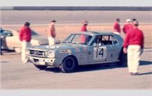 14 - Ford Mustang #6 (Shelby) - Ray Cuomo Racing