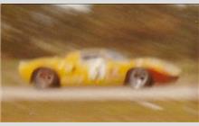 30 - Ford GT40 #1010 - Trevor Graham