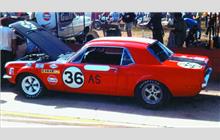 36 - Ford Mustang (Shelby) - Ray Cuomo Racing