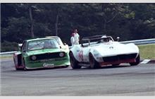 9 - Chevrolet Corvette 427 - Apple Valley Racing