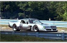81 - Pontiac Firebird Trans-Am - Adams Associates