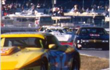 50 - Chevrolet Corvette - Paul Canary Racing
