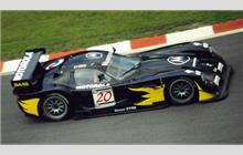 20 - Panoz GTR-1 Ford (Reynard) - DAMS Panoz