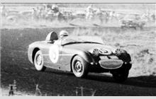 15 - Austin-Healey Sprite Mk I - M. A. Zoccola