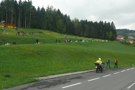 European Hill Climb Championship Rechberg 2014 (event report) - picture number 289