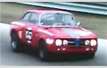 35 - Alfa Romeo 2000 GTAm - Hähn