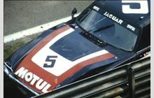 5 - Jaguar XJS #new - Team Motul Jaguar