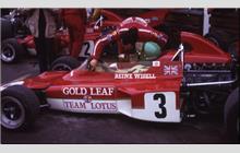 3 - Lotus 72D Ford #72/R6 - Gold Leaf Team Lotus