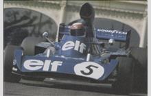 5 - Tyrrell 006 Ford #006/2 - Elf Team Tyrrell