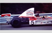 5 - McLaren M23 Ford #8 - Marlboro Team Texaco