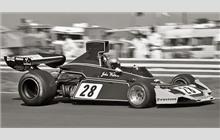 28 - Brabham BT44 Ford #BT44/4 - Goldie Hexagon Racing