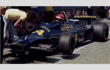 24 - Hesketh 308E Ford #308E/5 - Olympus Cameras with Hesketh Racing