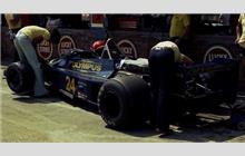 24 - Hesketh 308E Ford #308E/5 - Olympus Cameras with Hesketh Racing