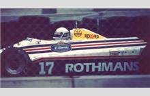 17 - March 821 Ford #RM08 (RAM-March) - March Grand Prix