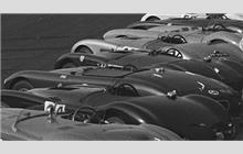 42 - Aston Martin DB3 #8 - Jeremy Boles