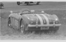 135 - Austin-Healey 100