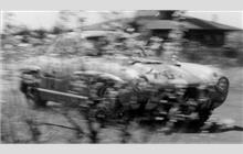 46 - Mercedes-Benz 300 SL - Fritz Riess