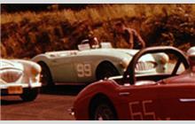 99 - Austin-Healey 100-6