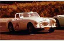 114 - Austin-Healey 100