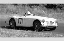 171 - Austin-Healey 100-6