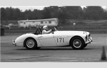 171 - Austin-Healey 100-6