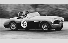 8N - Austin-Healey 100-6