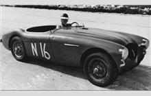 16N - Austin-Healey 100