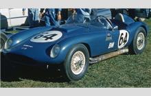 64 - Echidna - John Staver