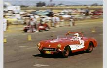 28 - Chevrolet Corvette - Danno Raffetto
