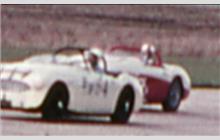 199 - Austin-Healey 100-6