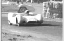 36 - Dolphin America