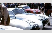16 - Jaguar E-type Lightweight #S850665 - Briggs S. Cunningham