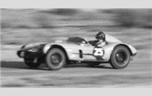 25 - Pink Elephant (Austin-Healey)