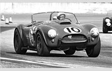 10 - Shelby Cobra #CSX2156 - Edward J. Butler