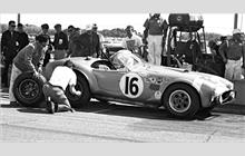 16 - Shelby Cobra #CSX2259 - Shelby American Inc.