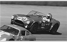 20 - Shelby Cobra #CSX2137 - Ralph Noseda