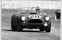20 - Shelby Cobra #CSX2137 - Ralph Noseda