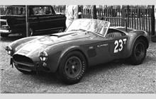 23 - Shelby Cobra roadster #CSX2131 - Willment Racing Team