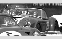 23 - Shelby Cobra roadster #CSX2131 - Willment Racing Team