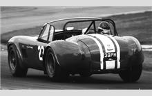 23 - Shelby Cobra roadster #CSX2131 - Willment Racing Team