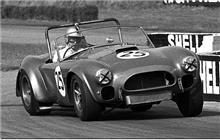 25 - Shelby Cobra roadster #HEM-6 - C. T. Atkins