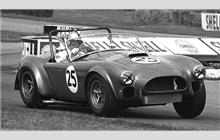25 - Shelby Cobra roadster #HEM-6 - C. T. Atkins