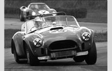25 - Shelby Cobra roadster #HEM-6 - C. T. Atkins