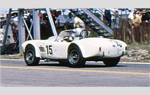 15 - Shelby Cobra roadster #CSX2155 - Thomas Hitchcockm, Jr.