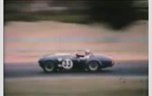 33 - Shelby Cobra #CSX2494 - Shelby-American