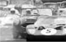 7 - Austin-Healey - N. Fouche